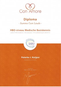 Diploma MBK